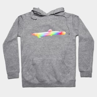 Pastel rainbow loach Hoodie